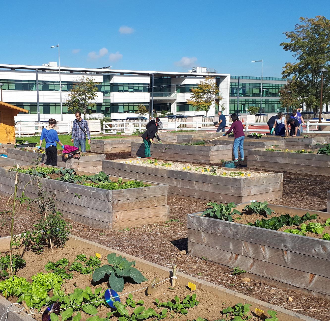 Notre approche pédagogique ; formation courte ; formation professionnelle ; formation présentiel ; pédagogique ; formation adulte ; formation entreprise