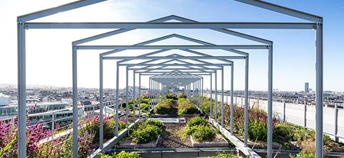 formation agriculture urbaine ; agroécologie ; management ; nature ; formation ; biodiversité ; changement climatique ; toiture végétalisée ; gestion écologique