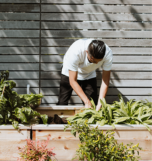 formation courte ; formation professionnelle ; formateurs experts ; formatrice ; qualité